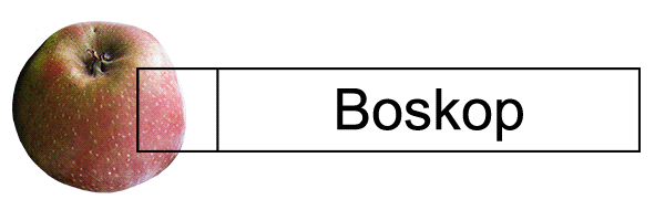 Boskop